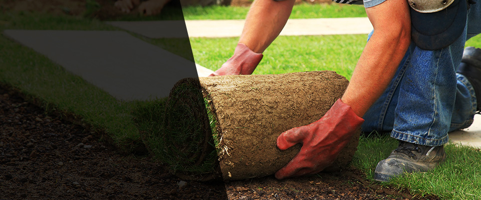 Siloam Springs Landscapers